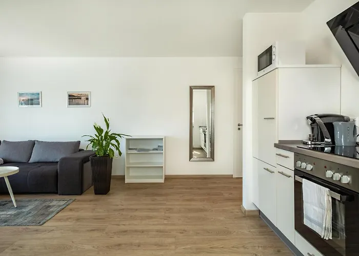 Fink - Vogelhaus 프리드리히스하펜